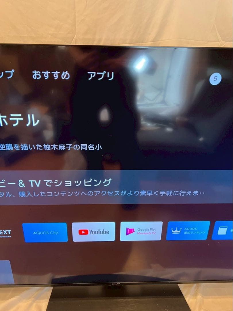 SHARP シャープAQUOS 4K液晶テレビ4T-C65DL1 2022年製