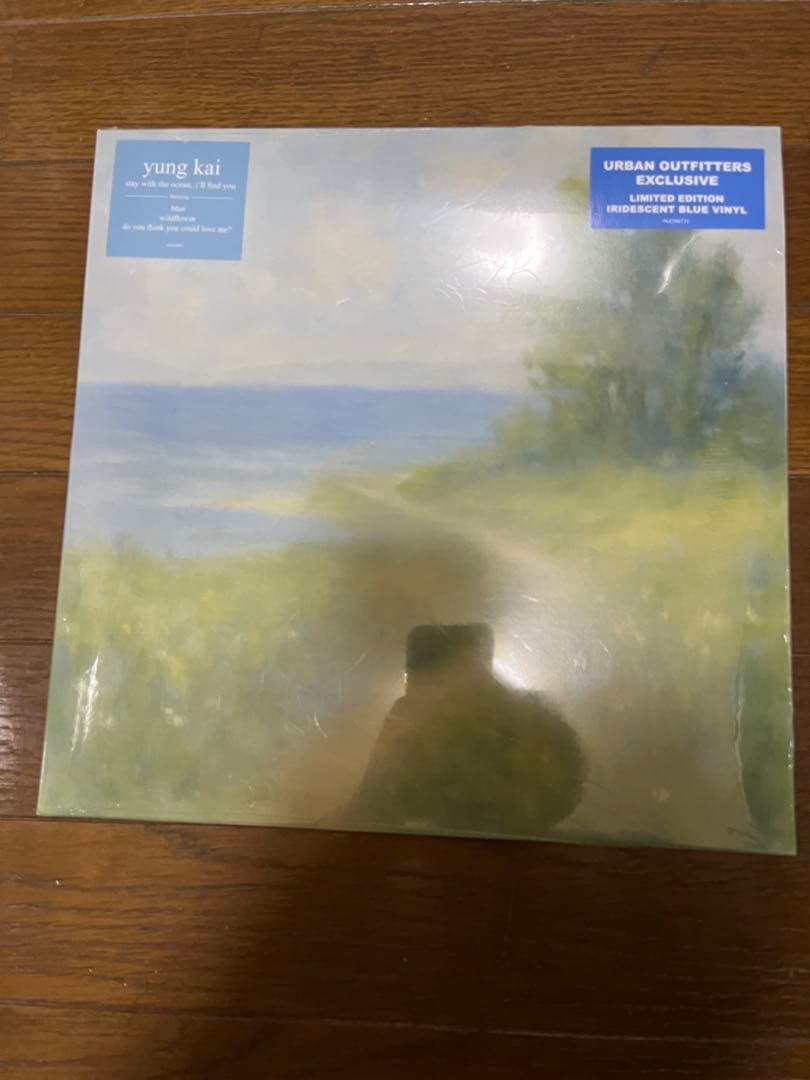 Yung Kai アナログレコード blue収録 フリーレン