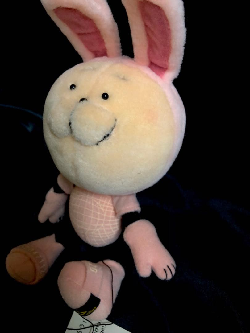 【新品激レア！最終！】20471120ウサHyoma ぬいぐるみ旧タグ付き♪