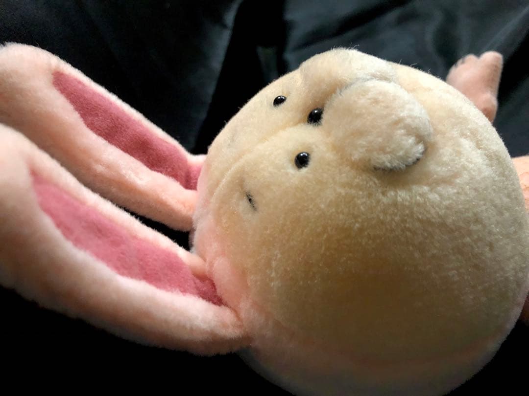 【新品激レア！最終！】20471120ウサHyoma ぬいぐるみ旧タグ付き♪