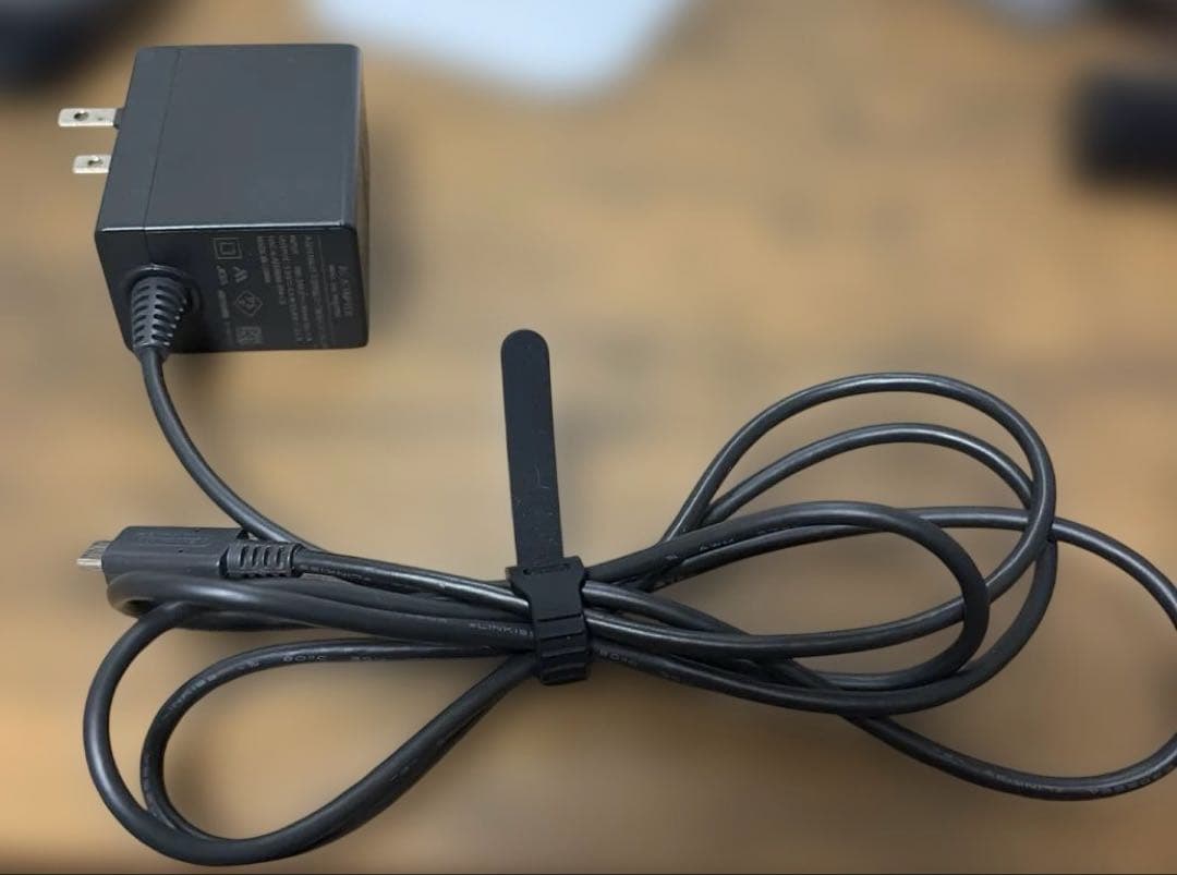 NintendoSwitchLight グレー 本体 カバー 充電器、おまけ付き