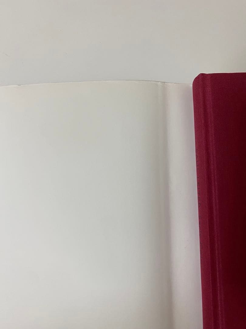 ソールライター 写真集 『Early Color』