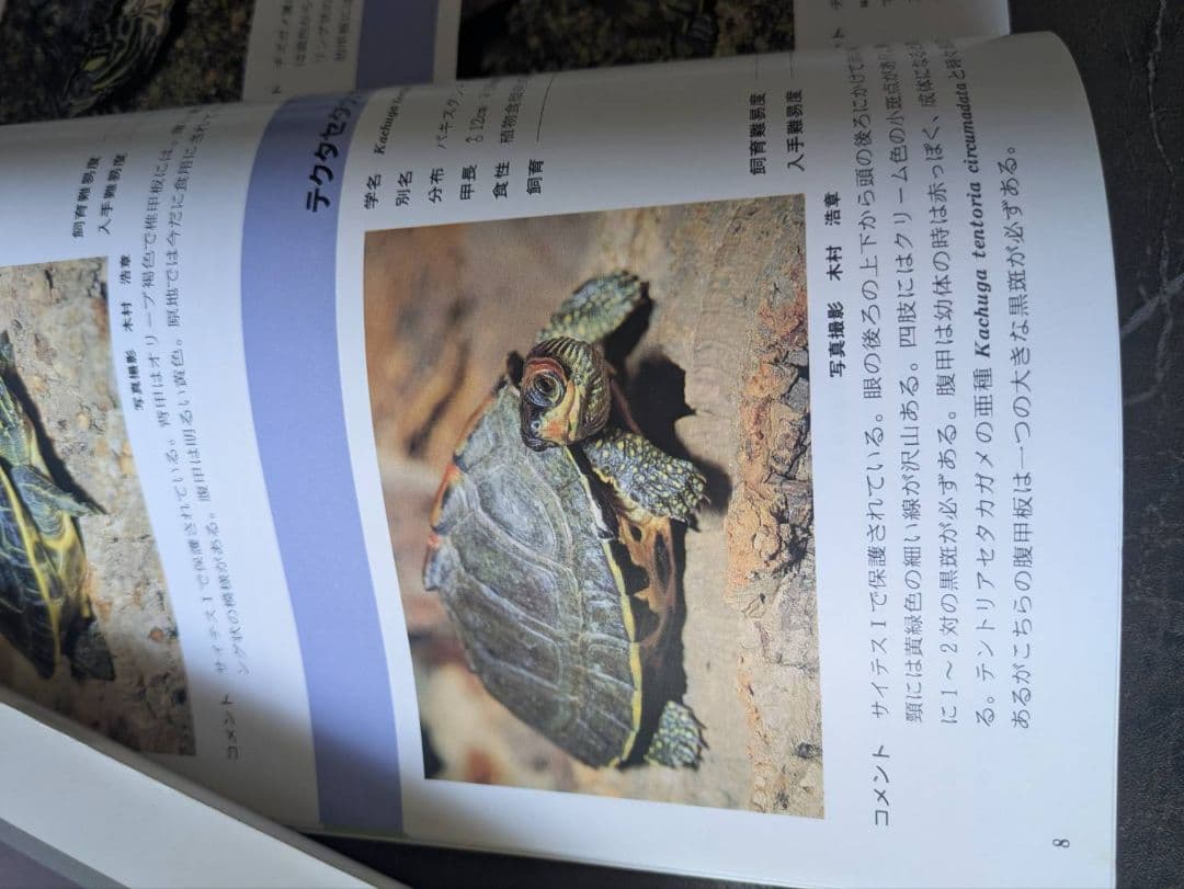 超マニアック本　世界のカメ全3冊