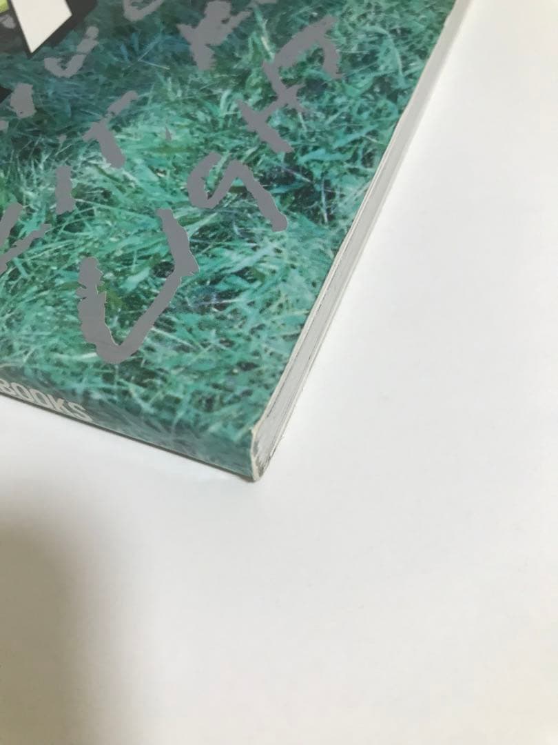 リチャード・プリンス　Richard Prince 4X4