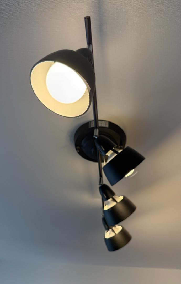 アートワークスタジオ シーリングランプ AW-0359 BK（電球なし）