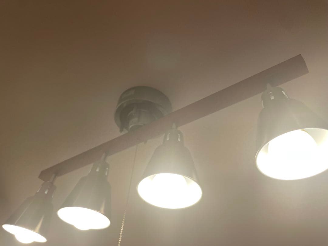 エア・リゾーム・インテリア　シーリングライト　電球4灯付