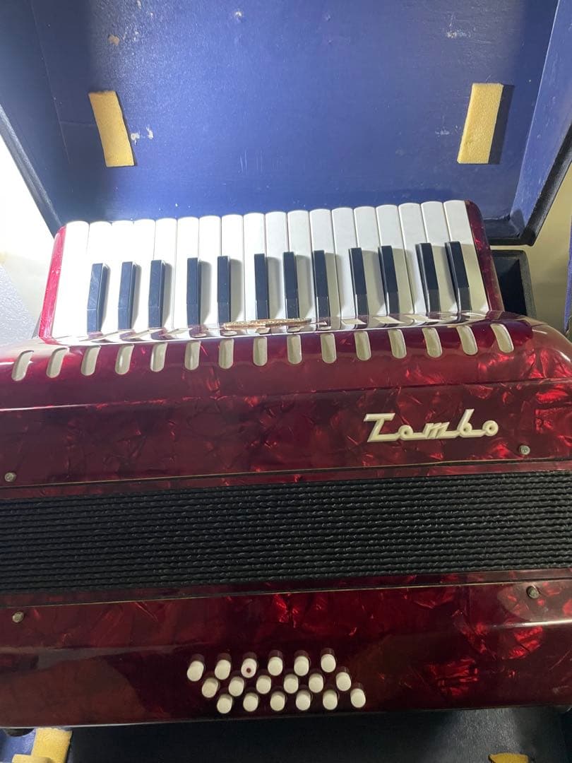 トンボ　アコーディオン　No.181 STEEL REEDS