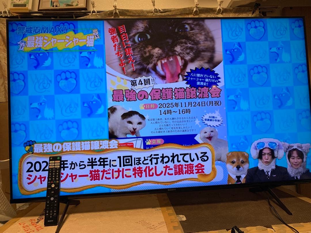 ソニー 55V型 4K 液晶 テレビ ブラビア XRJ-55X90J