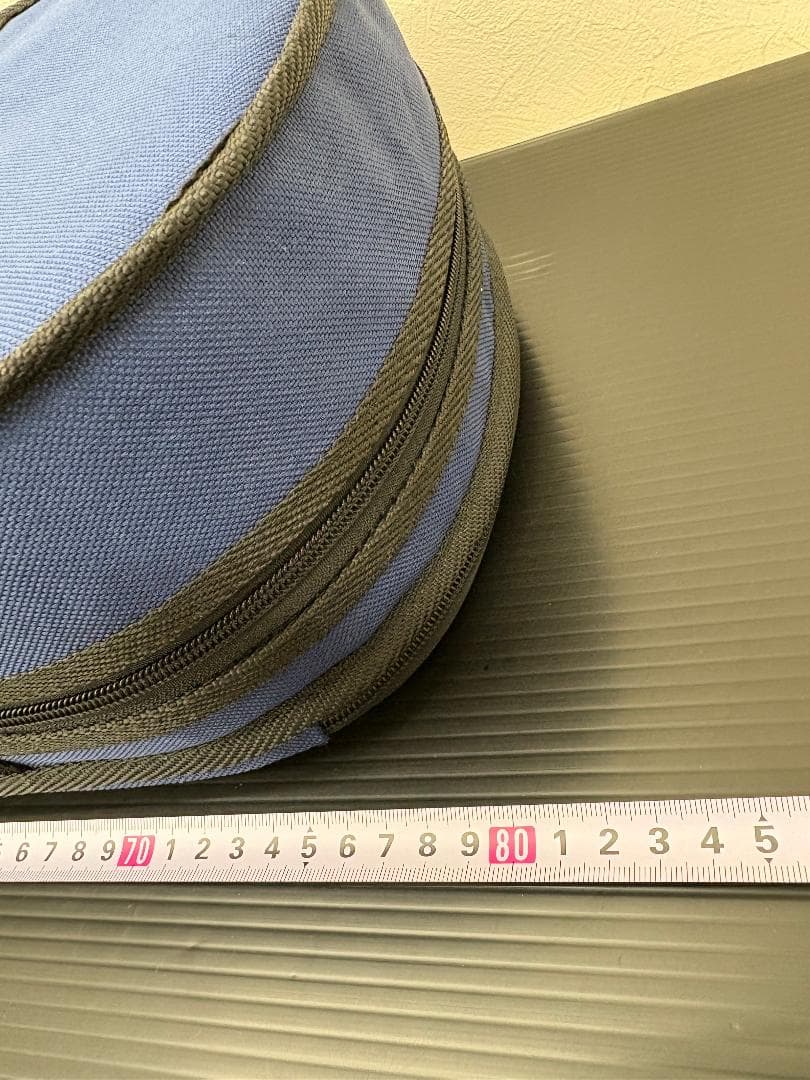 ハルシュタット　エレキヴァイオリン