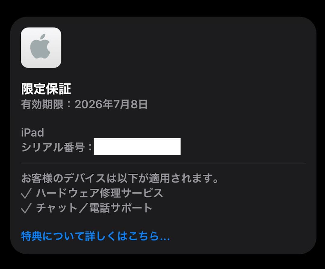 Apple iPad(A16)_Wi-Fiモデル_128GB _シルバー 本体