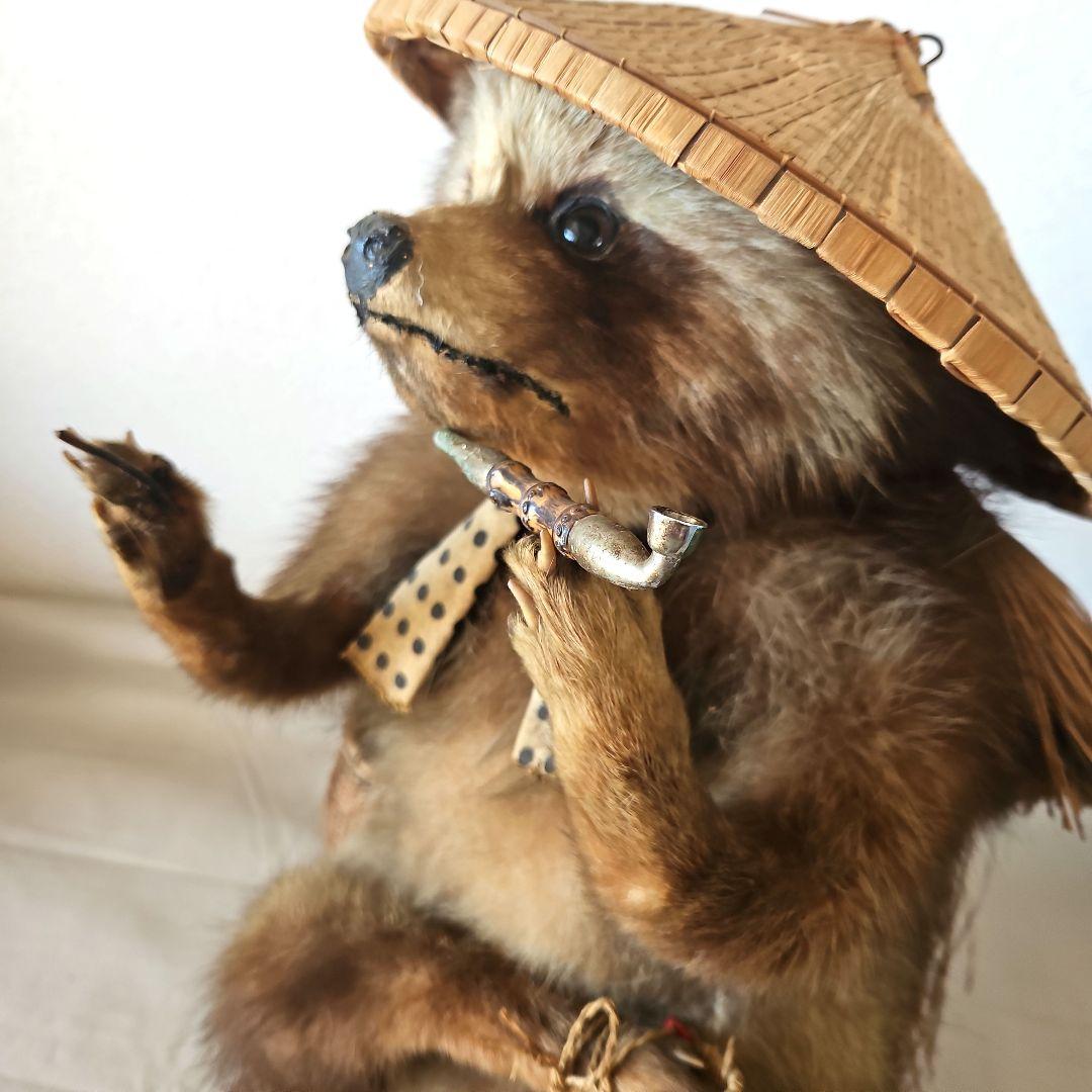 剥製　狸　タヌキ　獣　縁起物　商売繁盛　出世運　レトロ　天然木　台座付き