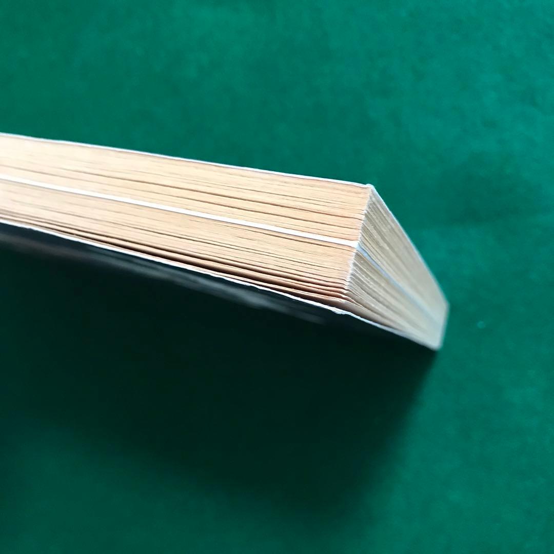 洋書 Peter Ackroyd Turner