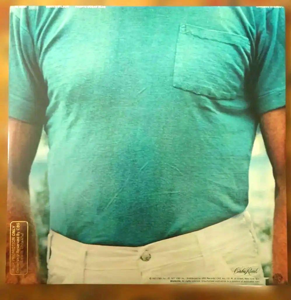 US初回プロモ盤DENNIS WILSON PACIFIC OCEAN BLUE