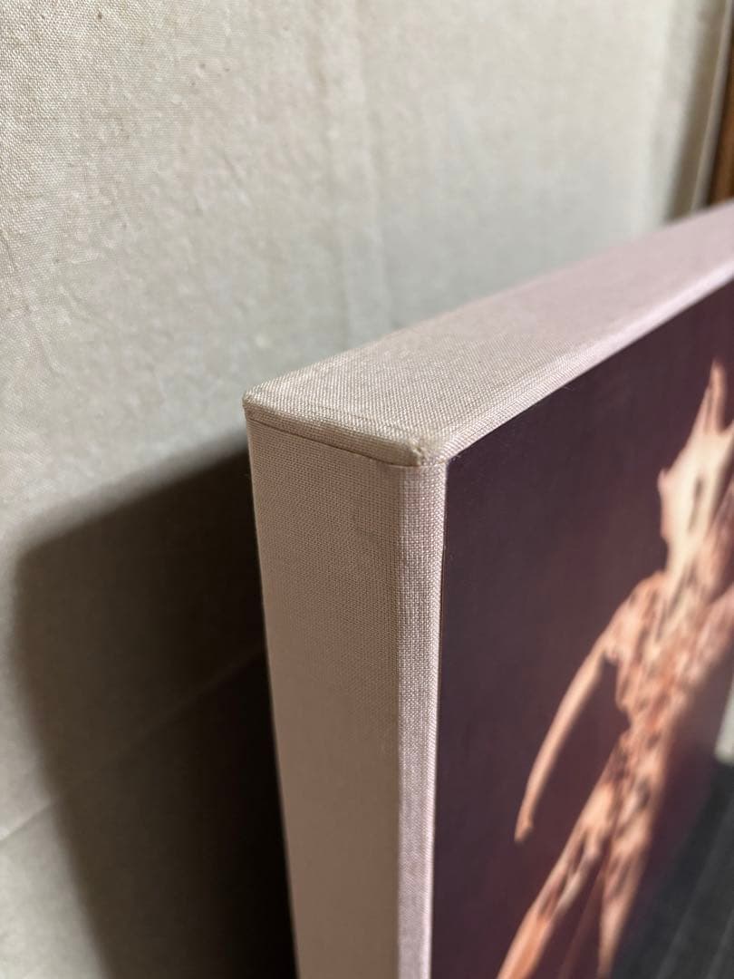 【希少】Pistils Robert Mapplethorpe 写真集