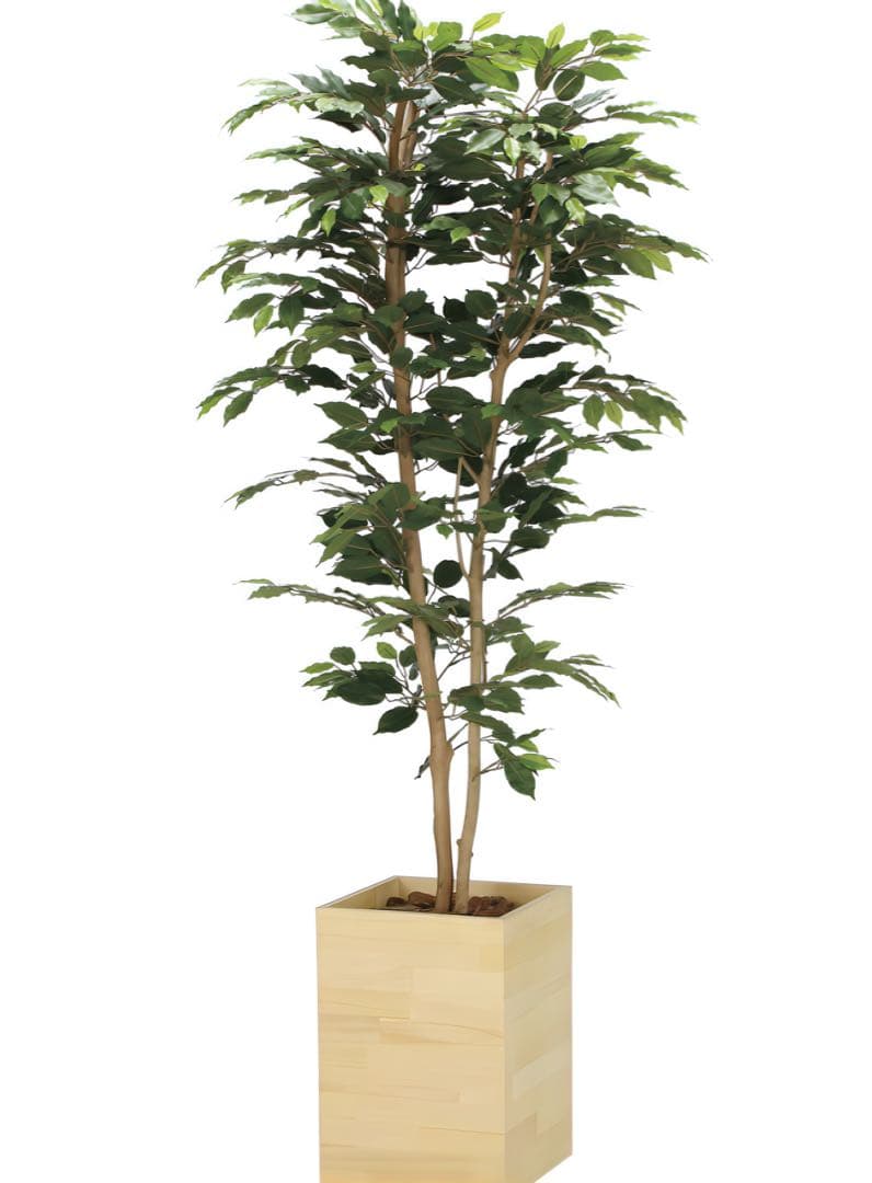 光触媒　人工観葉植物　フェイクグリーン　ウッドボックスベンジャミン1.8m