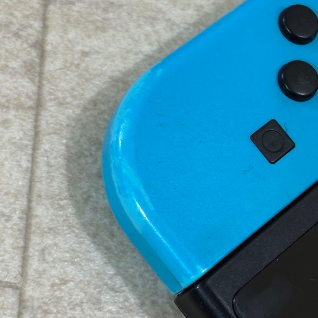 ニンテンドー 任天堂 Switch たーふぃー