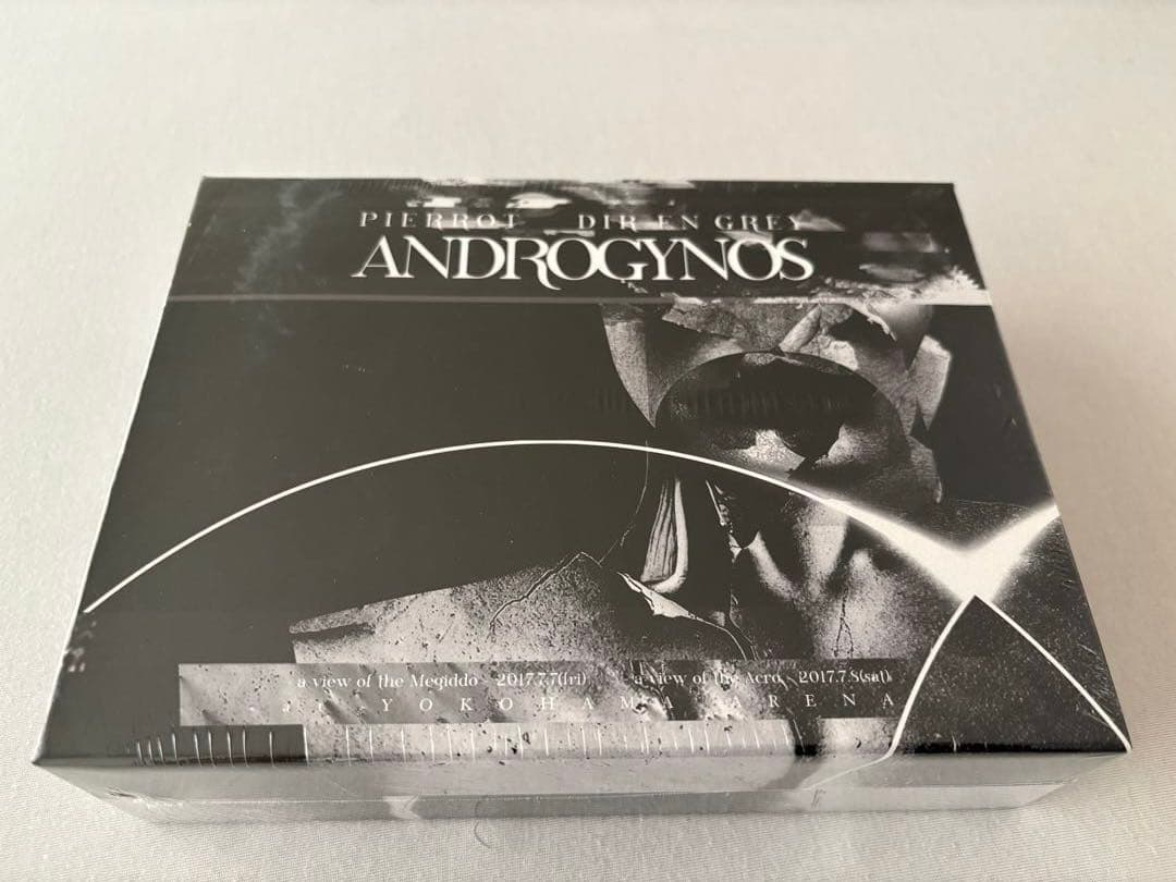 ANDROGYNOUS 2017 DVD 豪華版未開封品　フライヤー