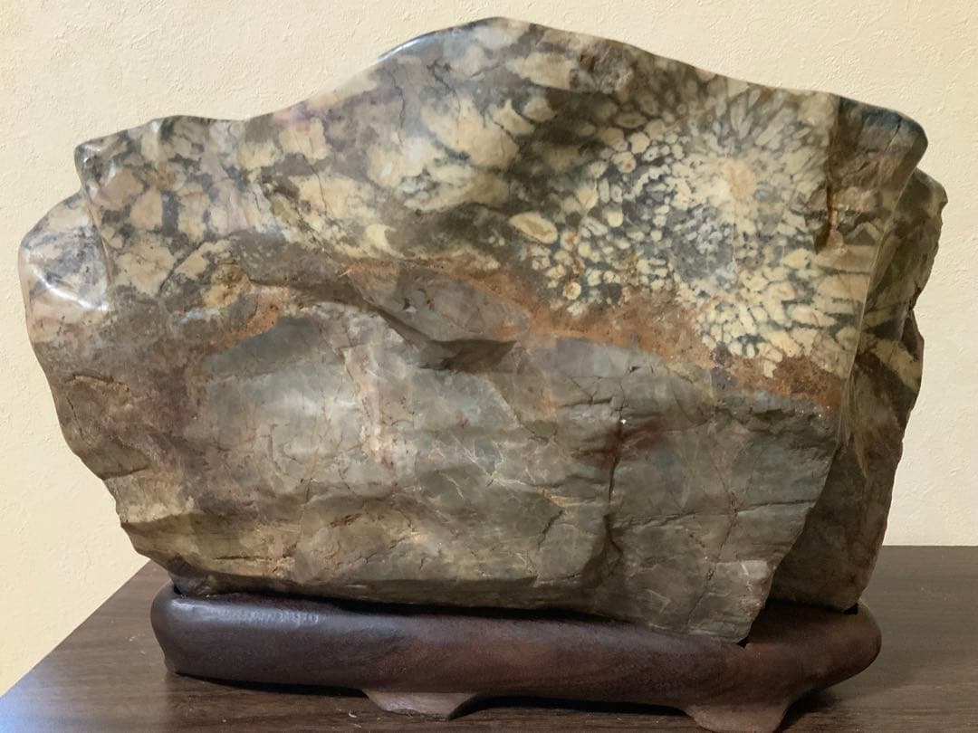 希少岐阜県根尾谷赤倉山菊花石