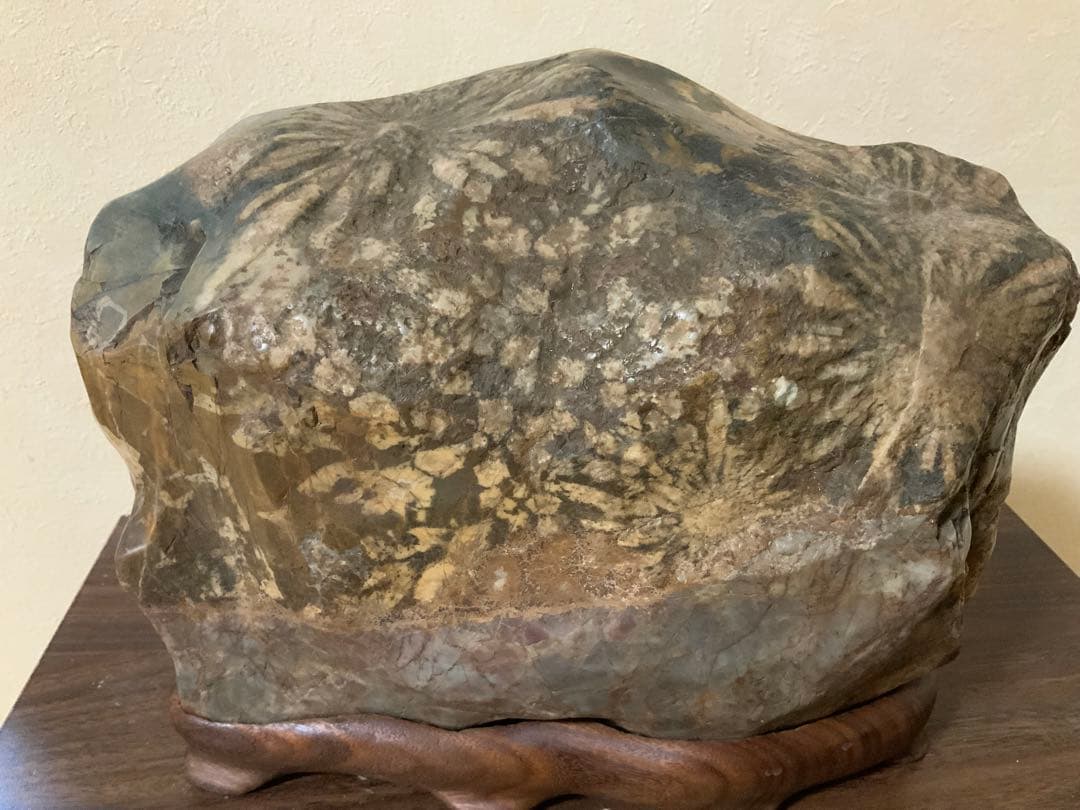 希少岐阜県根尾谷赤倉山菊花石