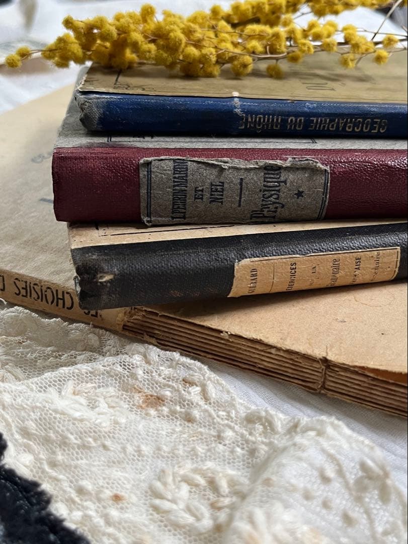 ◆SALE◆フランスアンティーク｜100年前古書教科書詩集手書きハガキ紙もの挿絵