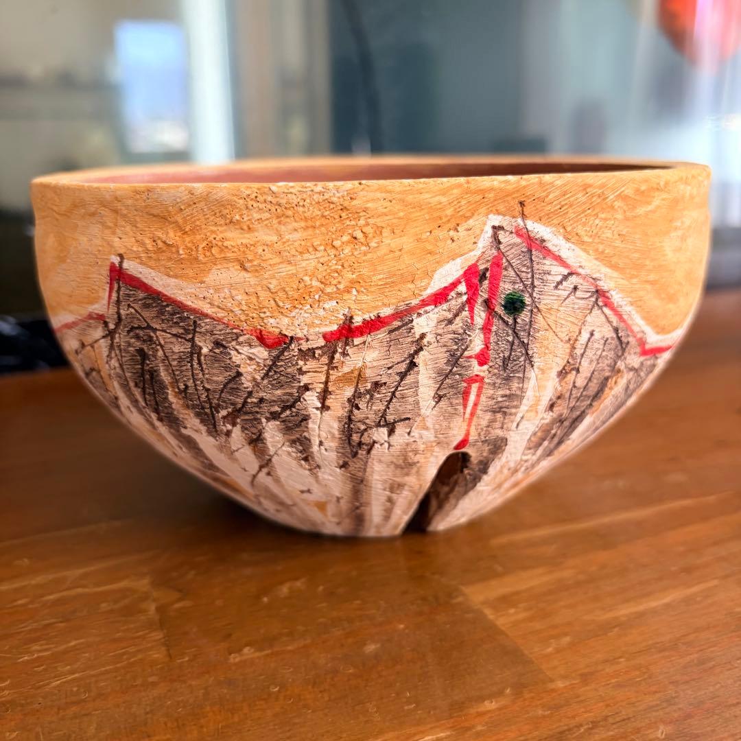 沼野秀章 / 刻ム音 / 5号　新品未使用　アガベ　グラキリス