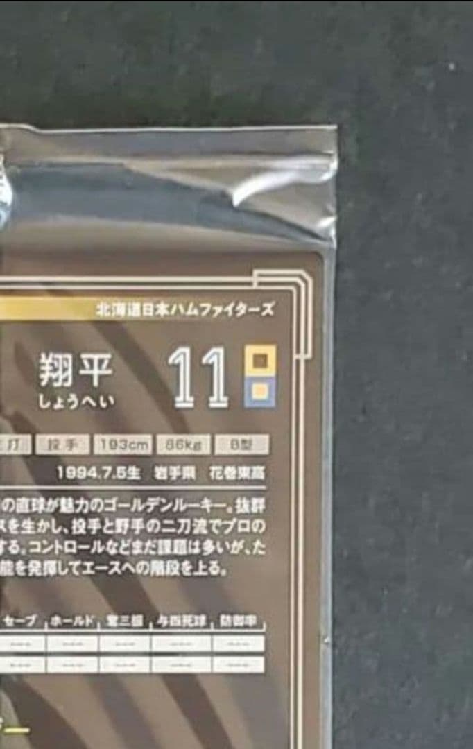 大谷翔平 2013 オーナーズリーグ インフィニティ 投手版