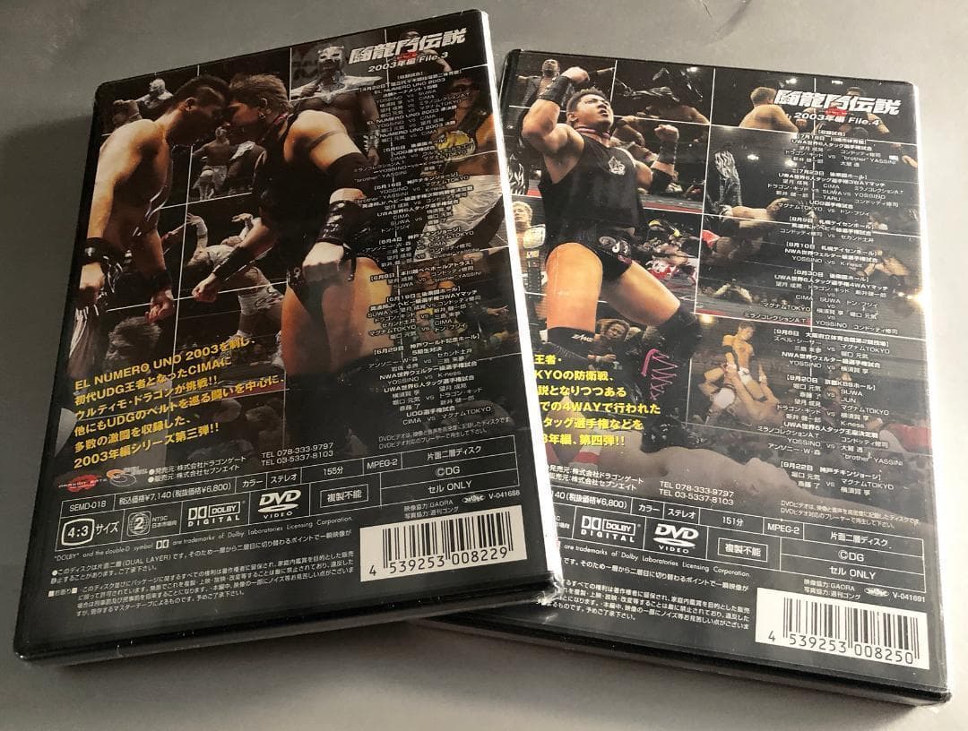 ★廃盤 絶版 DVD闘龍門伝説 2003年編 File.3 File.4ドラゲー
