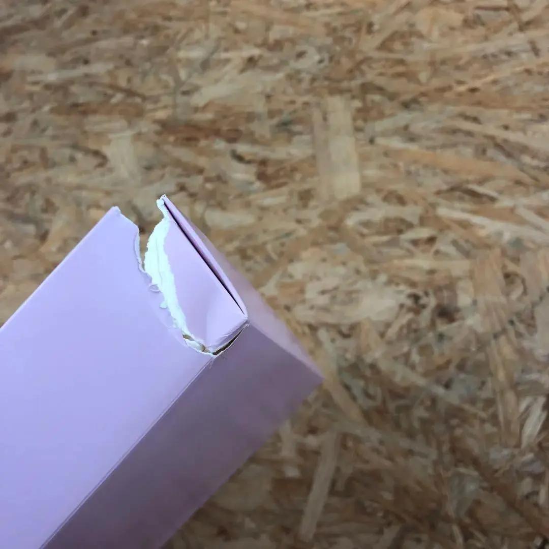 M2589 冬のサクラ 豪華版DVD-BOX ※箱にダメージあり