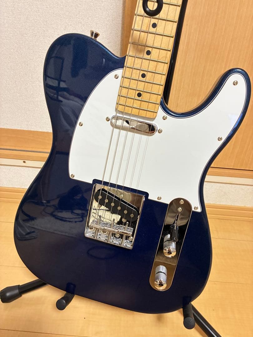 hka97866 bacchus ギター テレキャスター ソフトケース付き