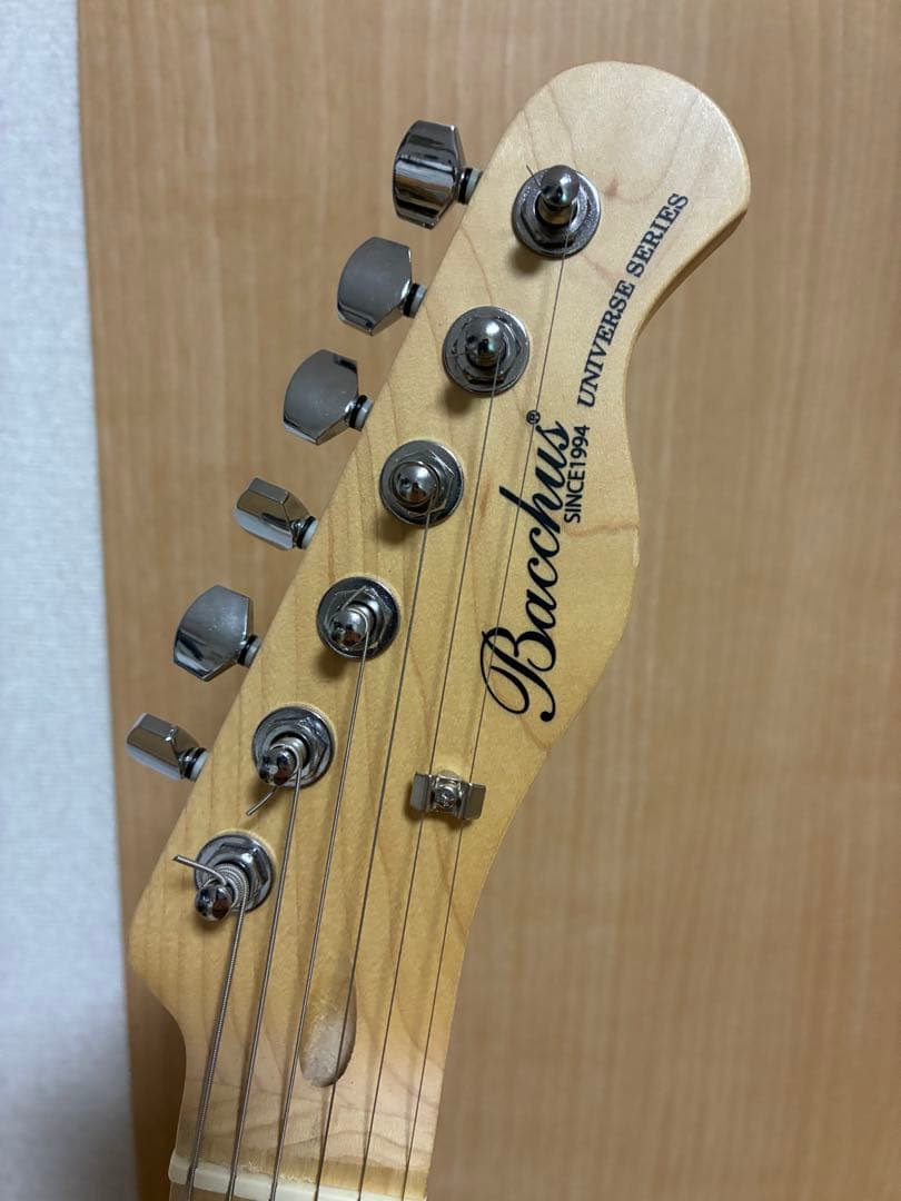 hka97866 bacchus ギター テレキャスター ソフトケース付き