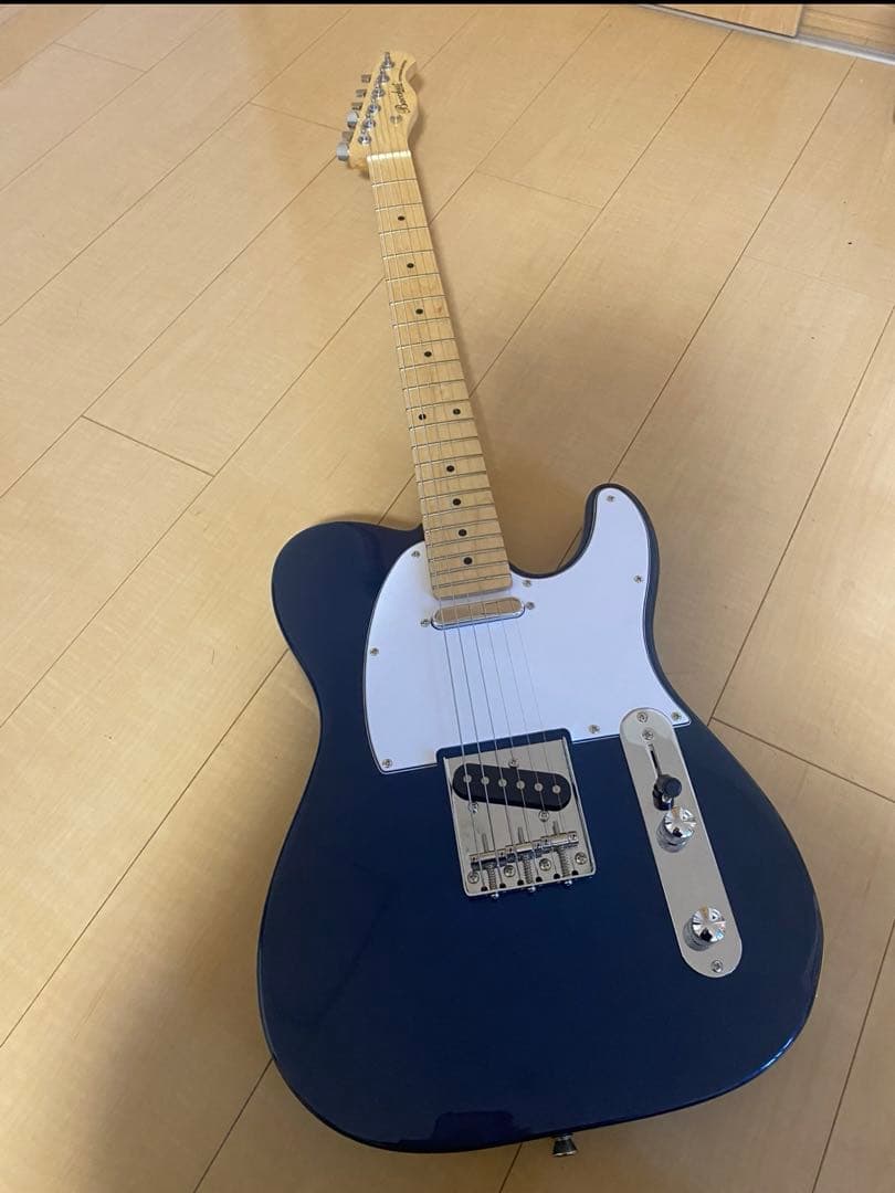 hka97866 bacchus ギター テレキャスター ソフトケース付き