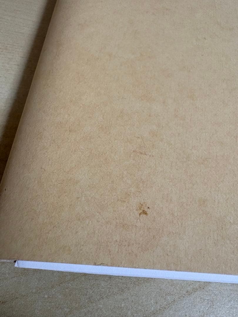 アート・デザイン・音楽 Kangchenjunga Naoki Ishikawa