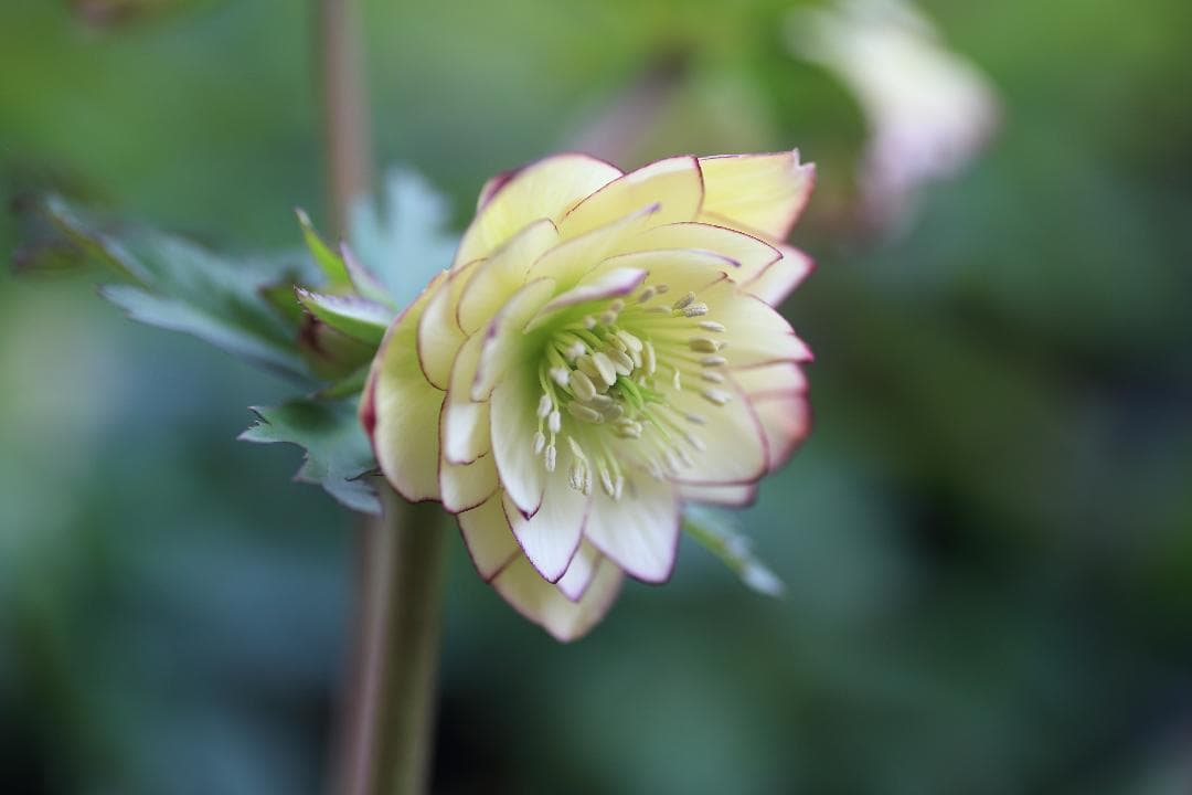 トックン様 リクエスト 3点 まとめ商品