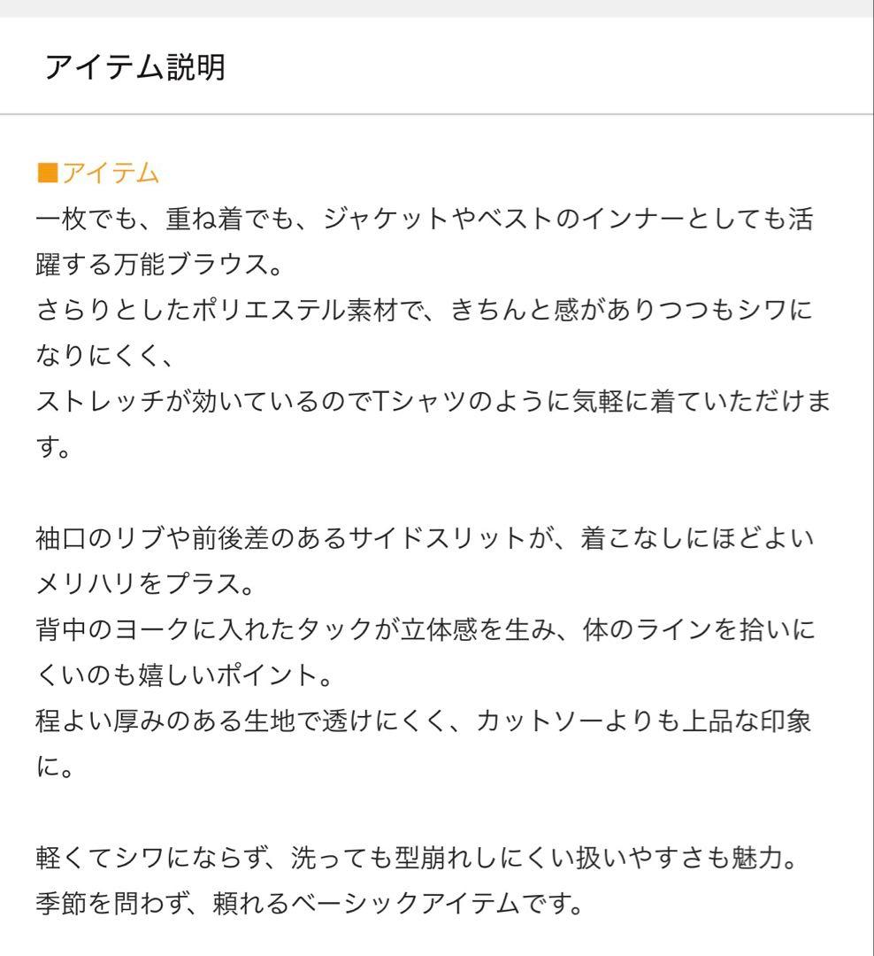 BEARDSLEY Tブラウス　サイズ1（試着のみ）