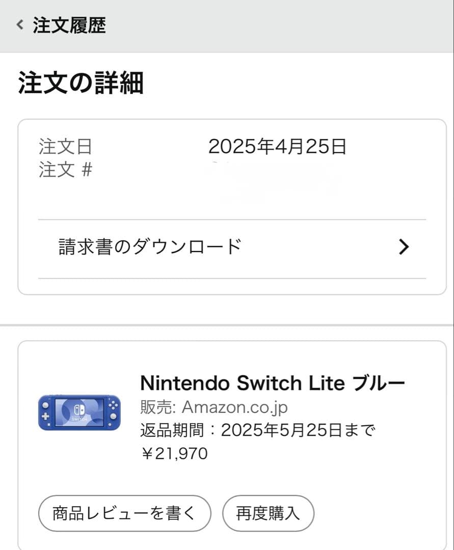 Nintendo Switch Lite 青色 本体 外箱＆充電器＆ケース付き