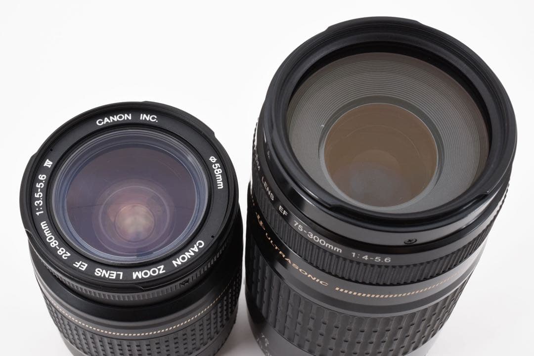 デジタル一眼レフカメラ Canon EOS 6D Mark II