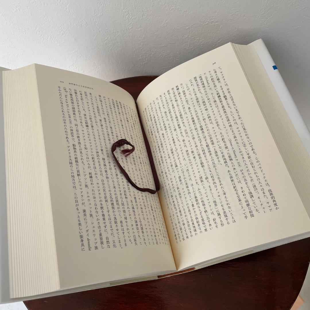 食卓作法の起源 （神話論理 3）帯つき