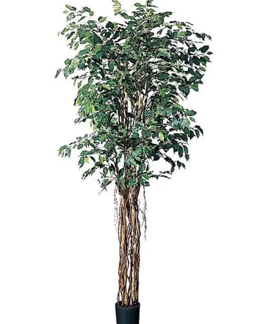 光触媒　人工観葉植物　ウォールグリーン　フェイクグリーン　ベンジャミンフィカスj