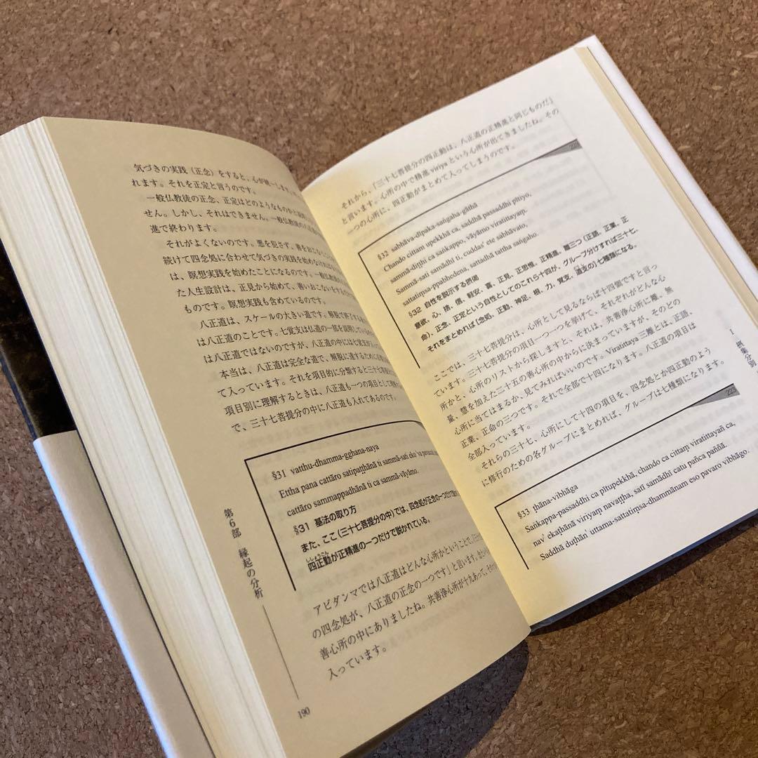 ブッダの実践心理学 第6巻 縁起の分析