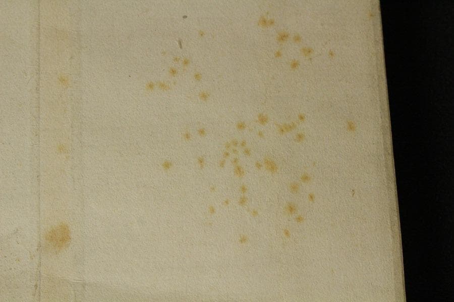 大田垣蓮月 筆 秋 和歌 色紙 軸(K-YC544)