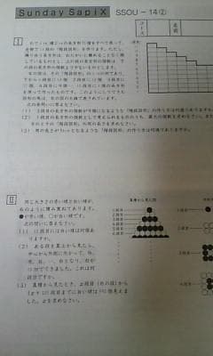 サピックス ＳＳ特訓＊６年＊算数／桜蔭 対策プリント＊全４９回完全版～激レア貴重