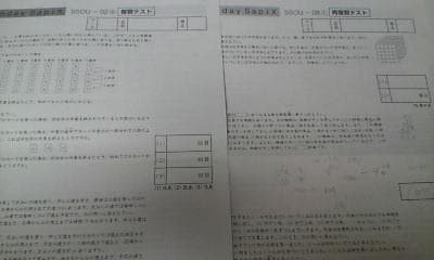 サピックス ＳＳ特訓＊６年＊算数／桜蔭 対策プリント＊全４９回完全版～激レア貴重
