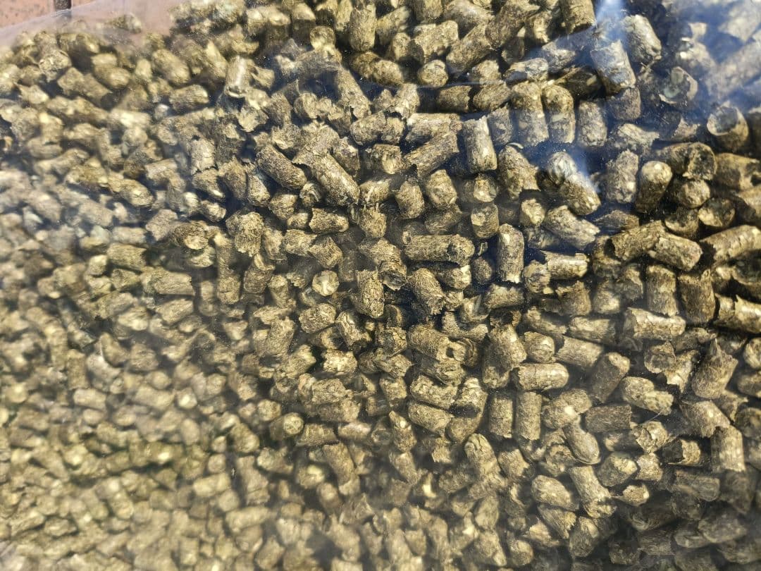 れい《プロフお読み下さい》様　プレミアムチモシーペレット　10kg