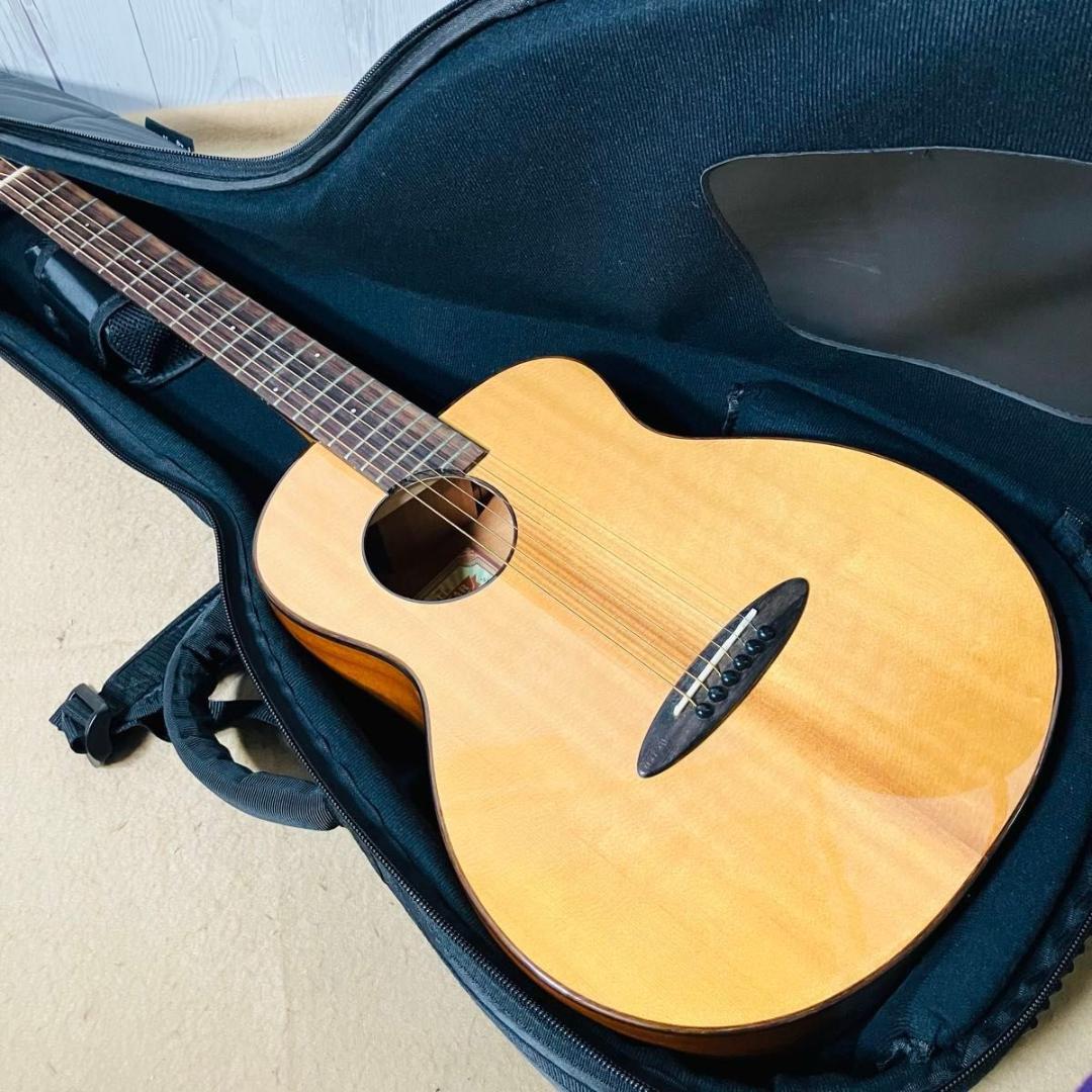 【希少 美品】aNueNue Bird M12 ソフトケース付き アヌエヌエ