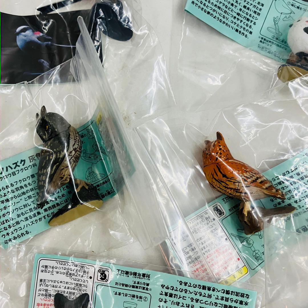 「チョコQ 日本の動物 第8弾」 フィギュア 21種セット