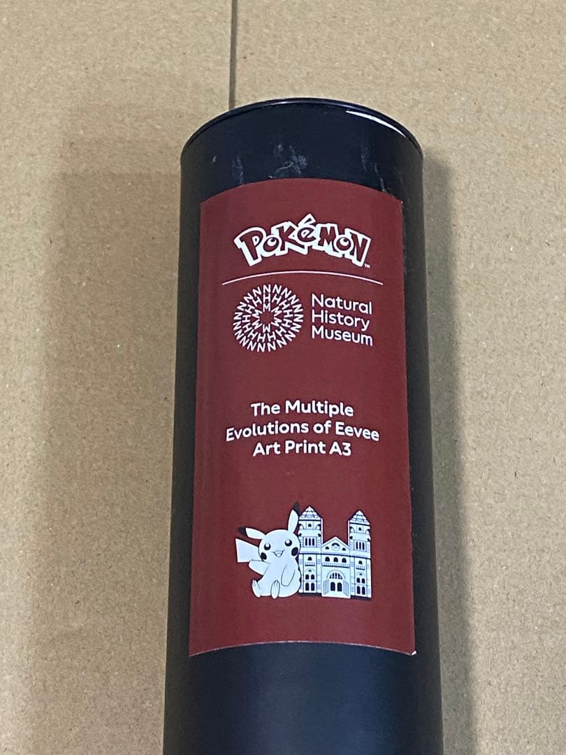 ポケモン ロンドン自然史博物館　イーブイ　A3 ポスター