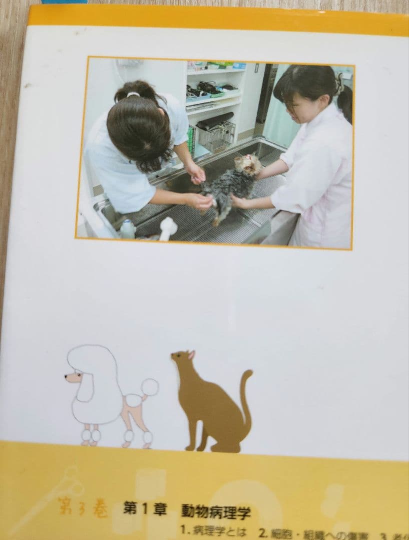 【即購入ok】動物看護の教科書 1-6巻セット