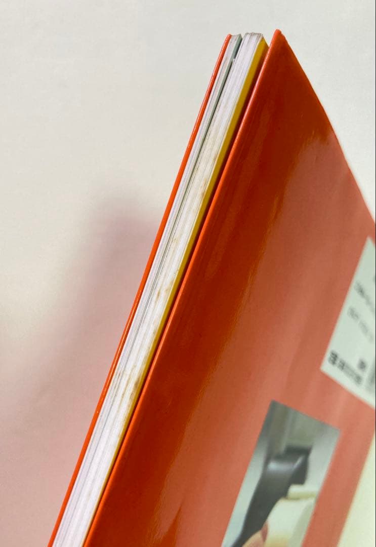 ミッフィーのあみぐるみ　かぎ針1本でできる毛糸小物　本