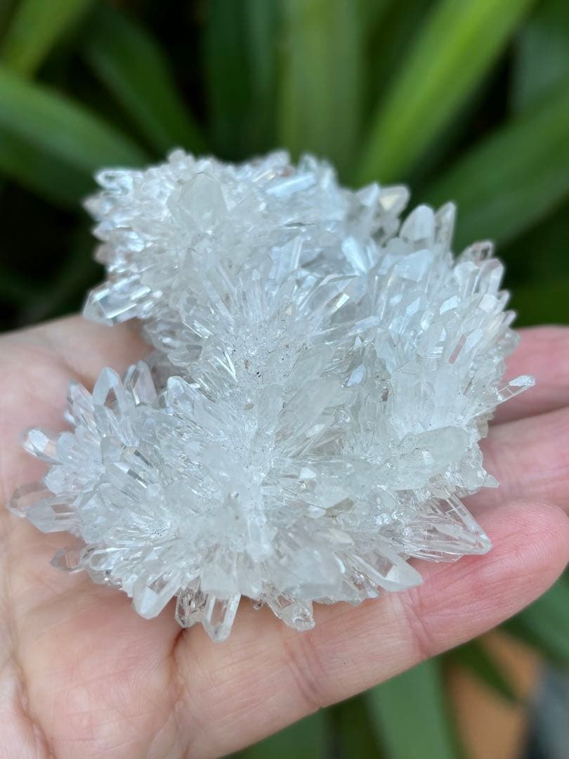 中国四川省産　本物　菊花水晶クラスター　193g 透明　光沢　天然石