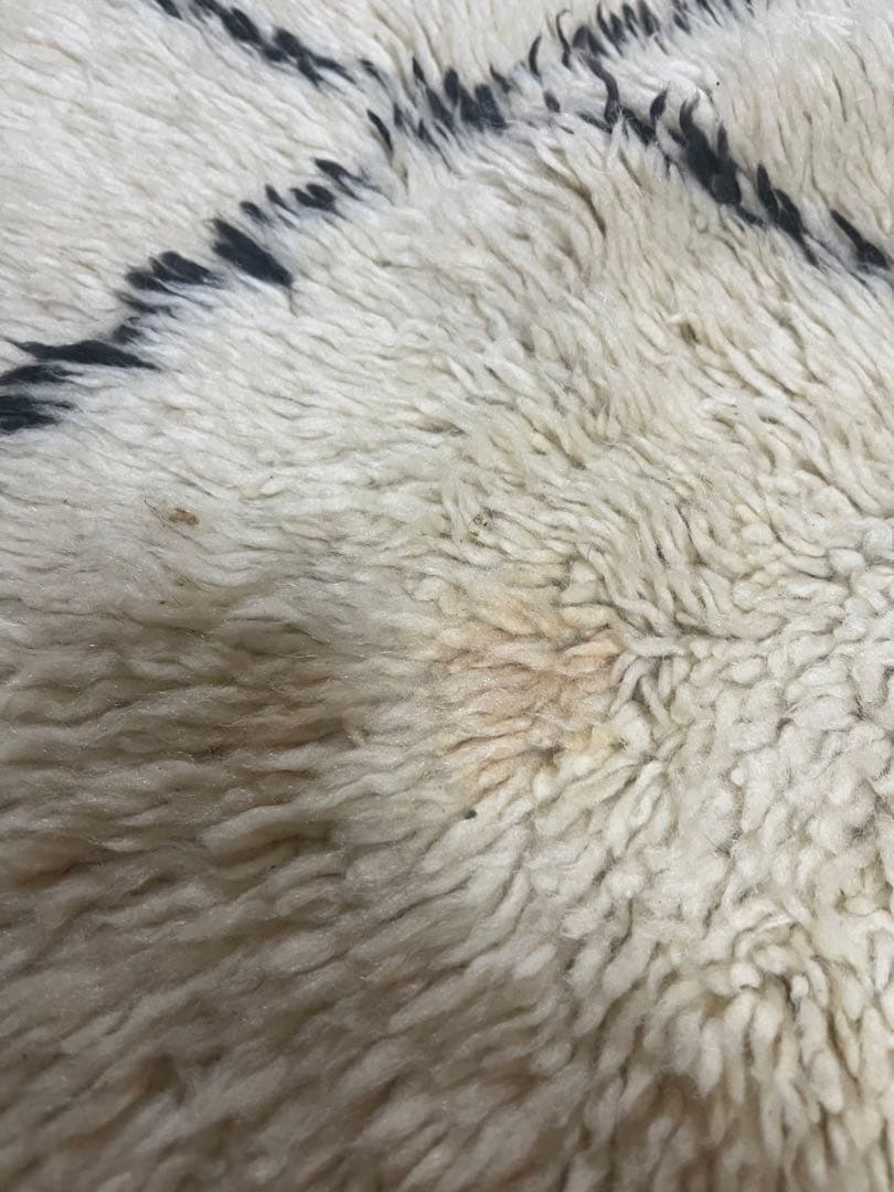 ベニワレン　モロッコラグ　マルムーシャ